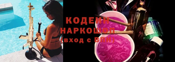 дмт Осташков