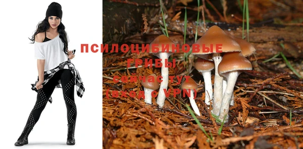 2c-b Переславль-Залесский